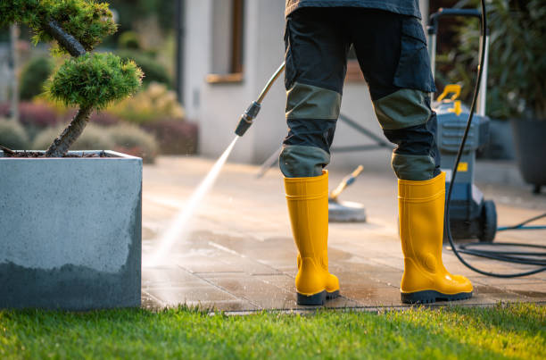 Best Exterior Home Cleaning  in View Park Windsor Hills, CA